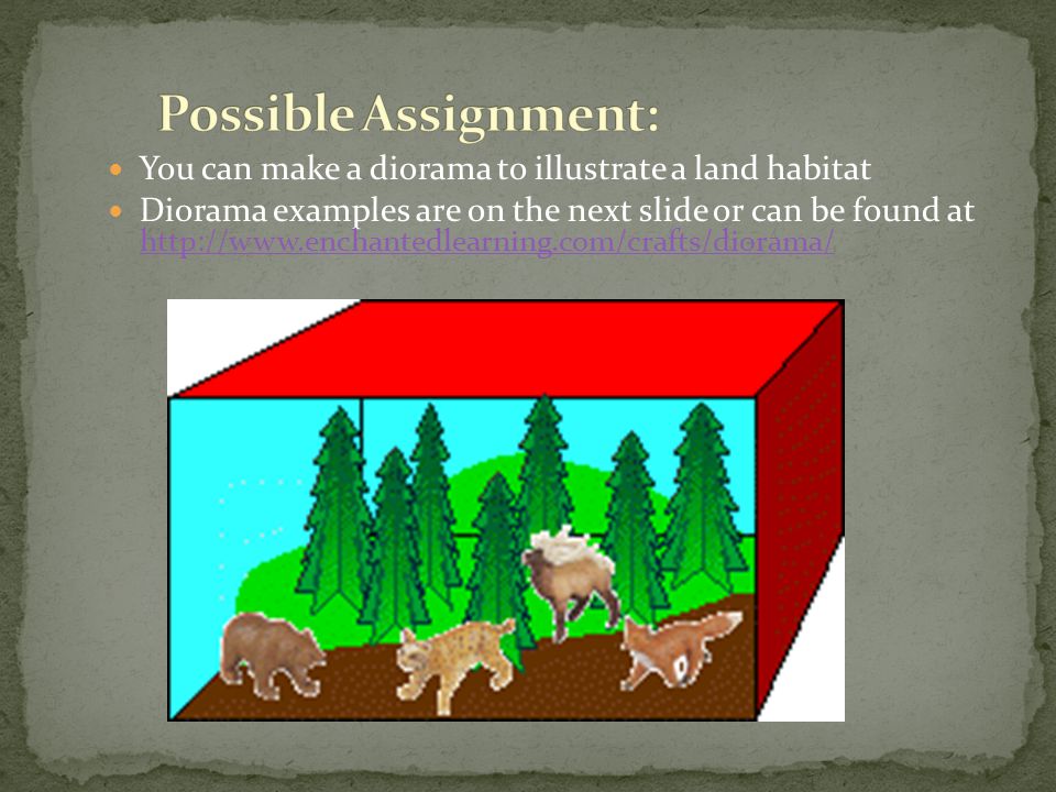 Possible Assignment: You can make a diorama to illustrate a land habitat.