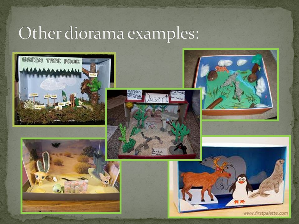 Other diorama examples: