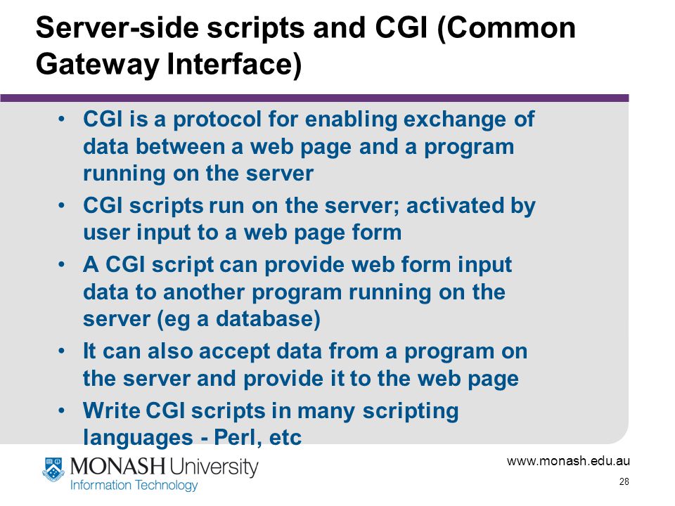 Server-side scripts and CGI (Common Gateway Interface)