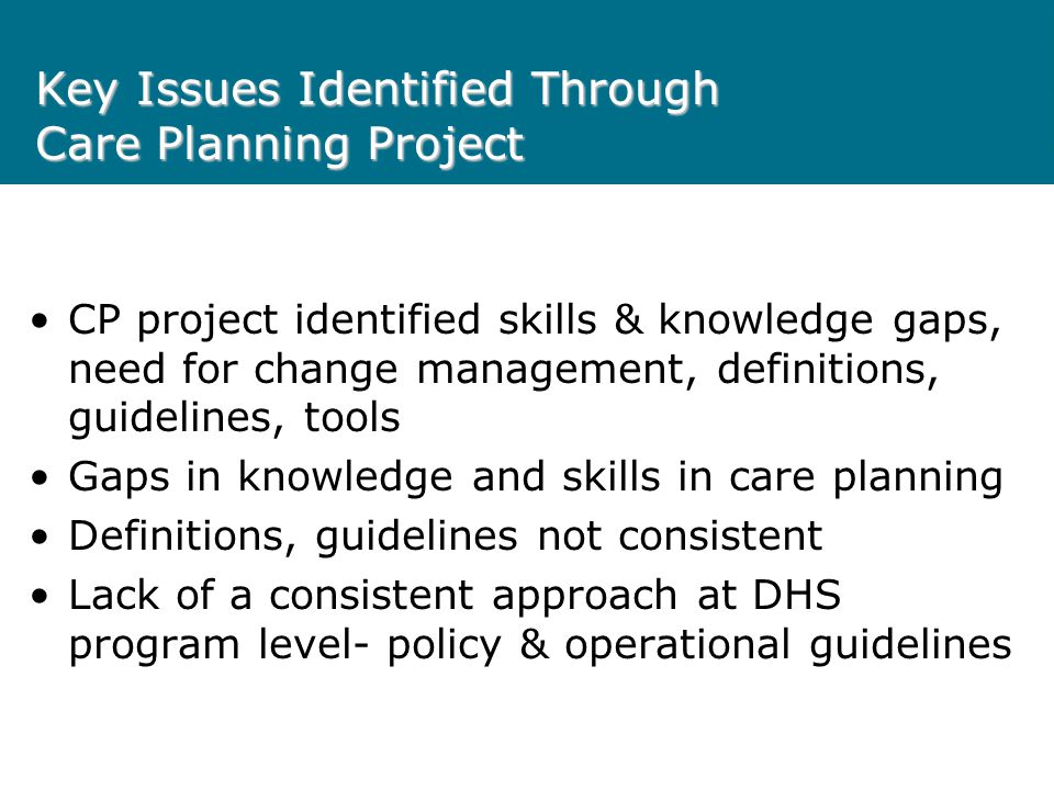 Key Issues Identified Through Care Planning Project