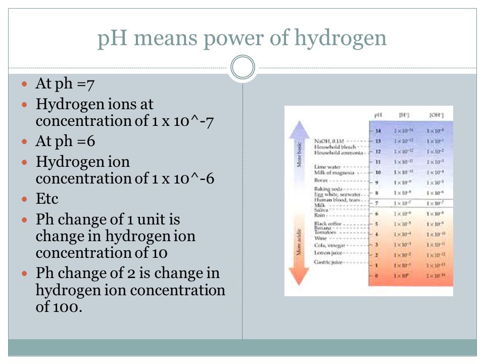 pH means power of hydrogen