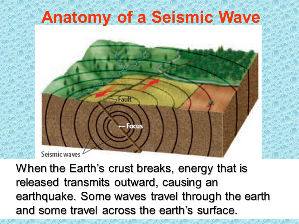 Anatomy of a Seismic Wave