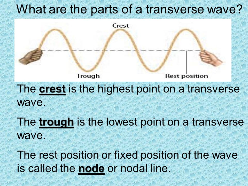 What are the parts of a transverse wave