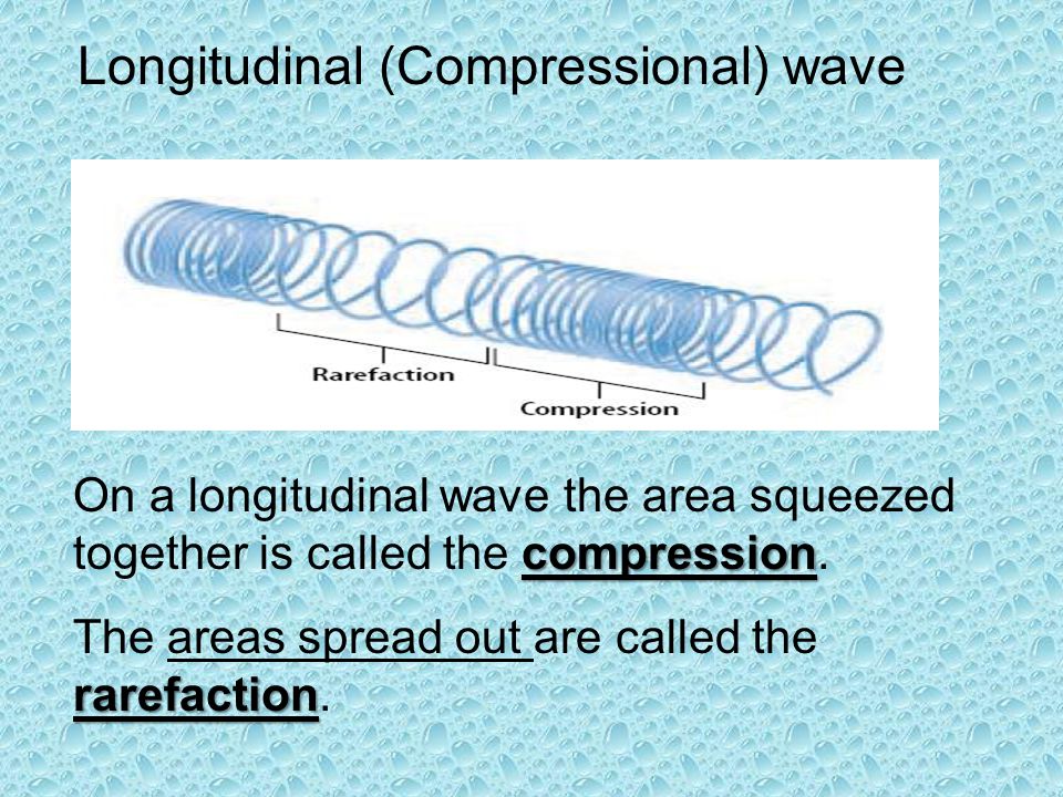 Longitudinal (Compressional) wave