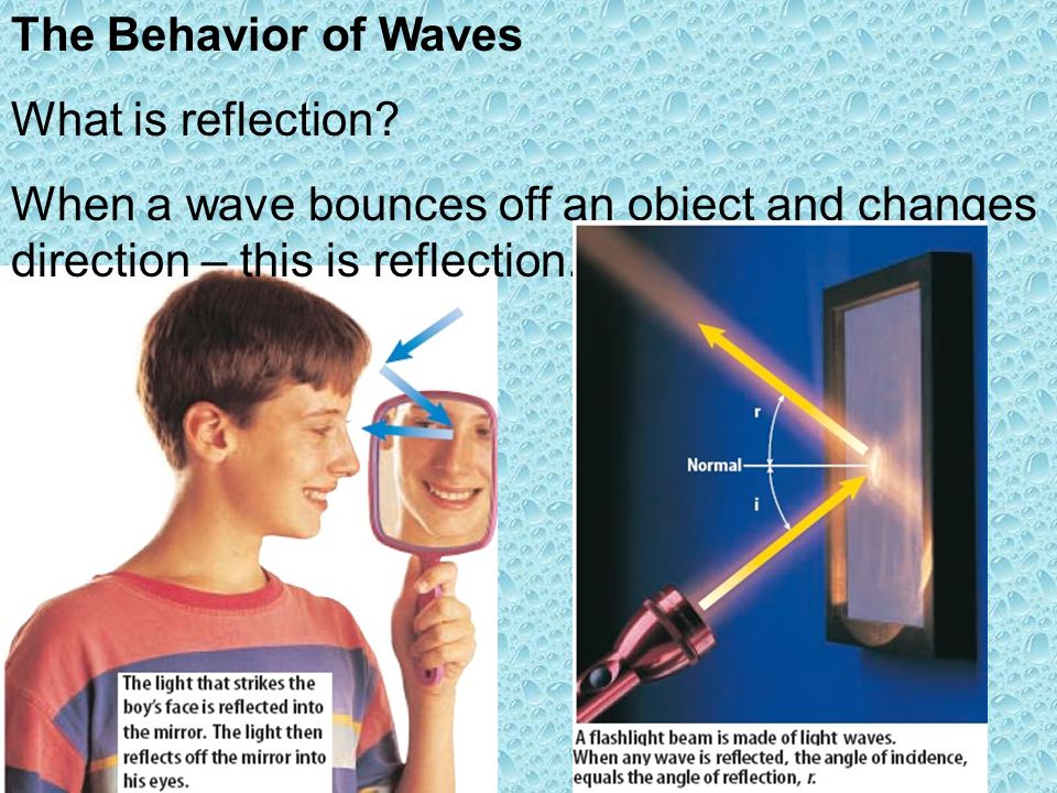 The Behavior of Waves What is reflection.