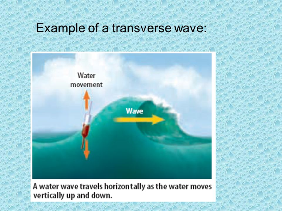 Example of a transverse wave: