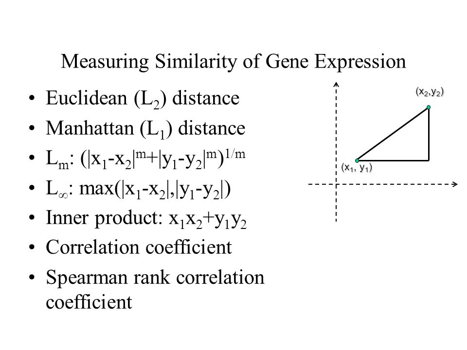 Measuring Similarity of Gene Expression