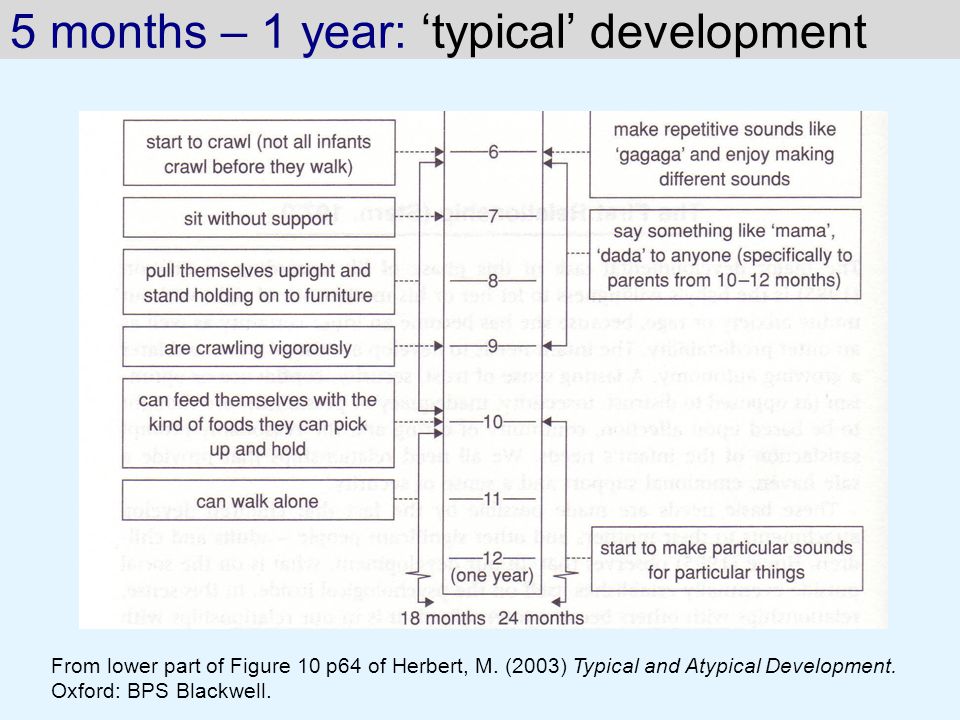 Mary Sheridan Child Development Chart