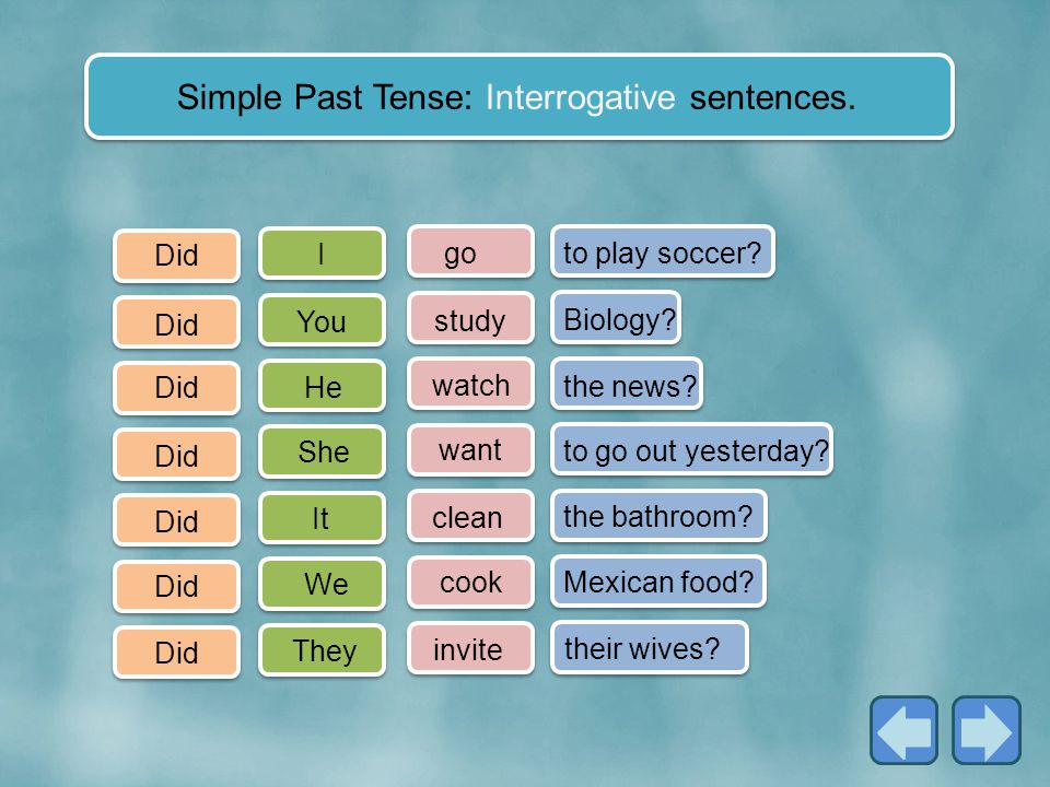 Simple Past Tense: Interrogative sentences.
