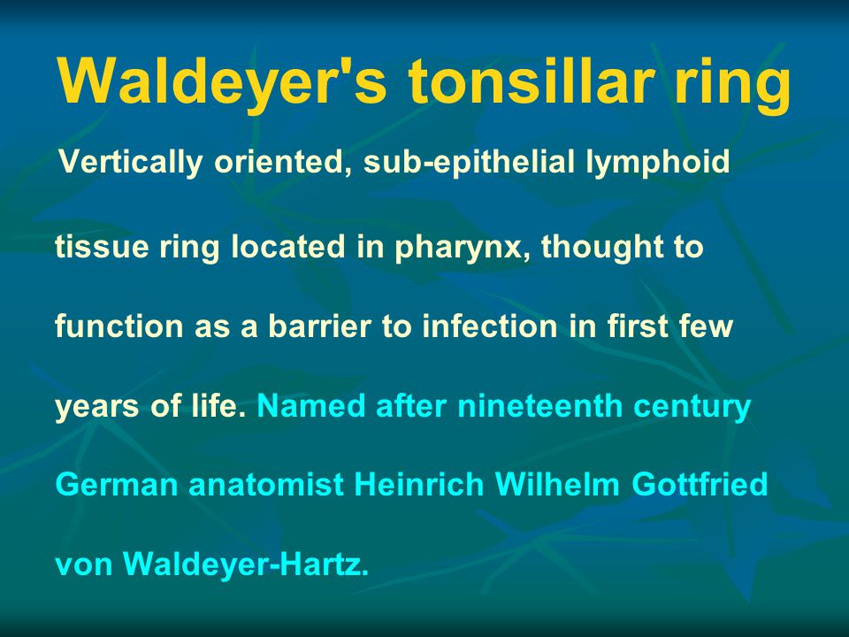 NEET UG - Waldeyer's Tonsillar Ring, Pharynx and Oesophagus (in Hindi)  Offered by Unacademy