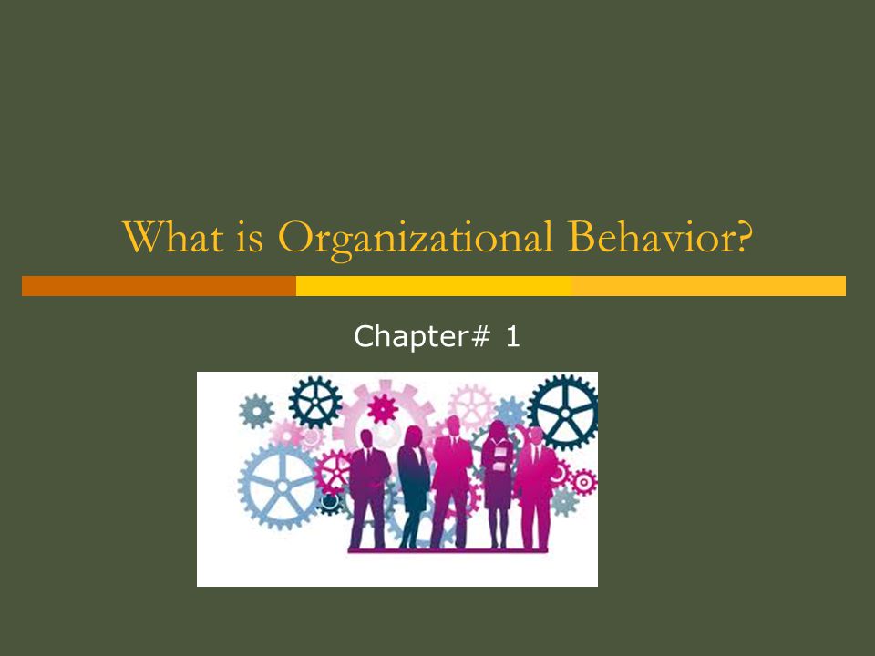 What is Organizational Behavior