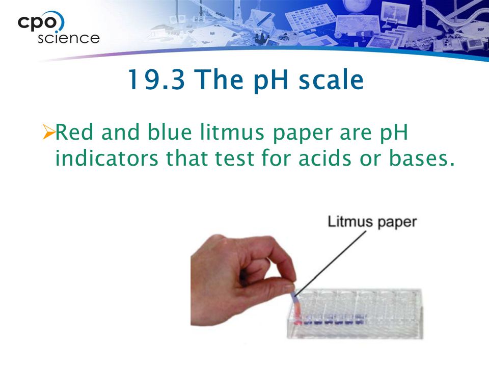 19.3 The pH scale Red and blue litmus paper are pH indicators that test for acids or bases.