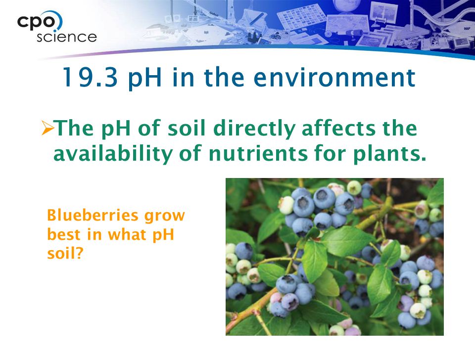 19.3 pH in the environment The pH of soil directly affects the availability of nutrients for plants.