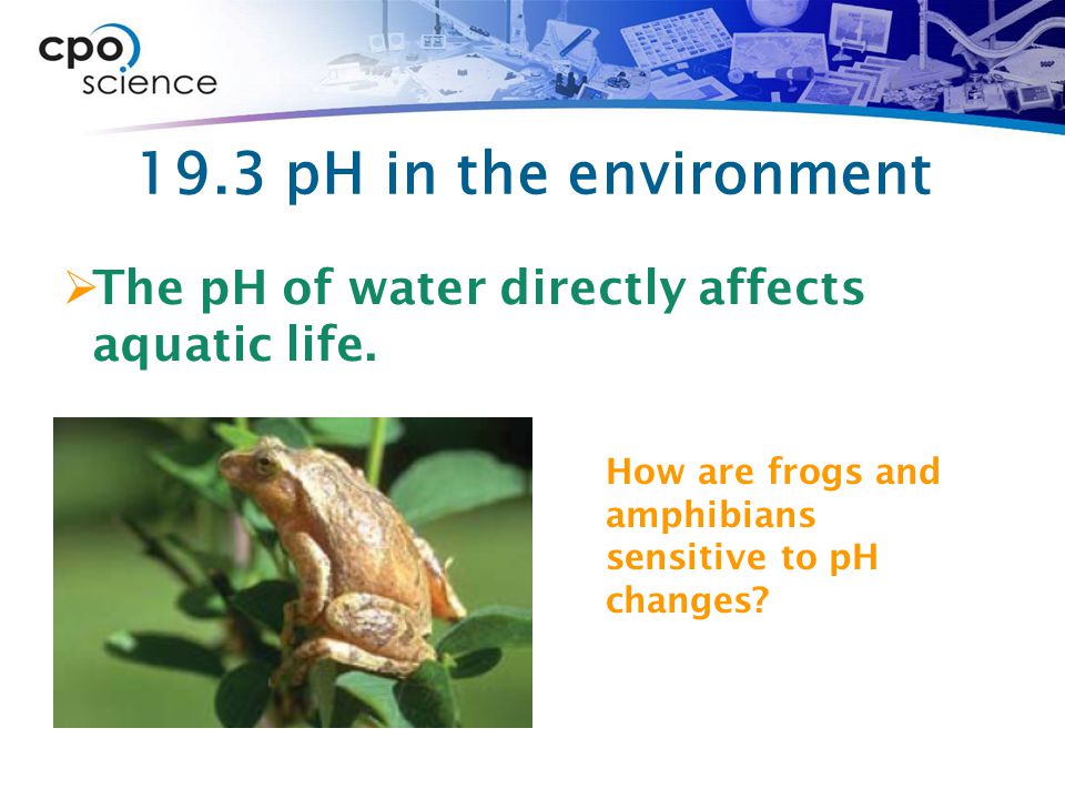 19.3 pH in the environment The pH of water directly affects aquatic life.