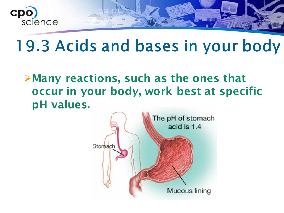 19.3 Acids and bases in your body