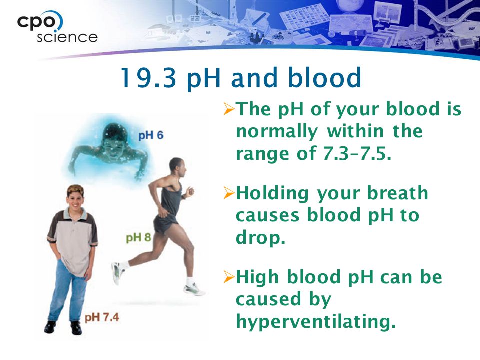 19.3 pH and blood The pH of your blood is normally within the range of 7.3–7.5. Holding your breath causes blood pH to drop.