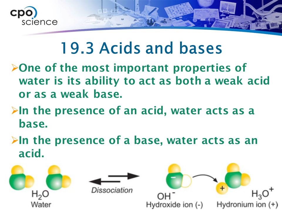 19.3 Acids and bases One of the most important properties of water is its ability to act as both a weak acid or as a weak base.