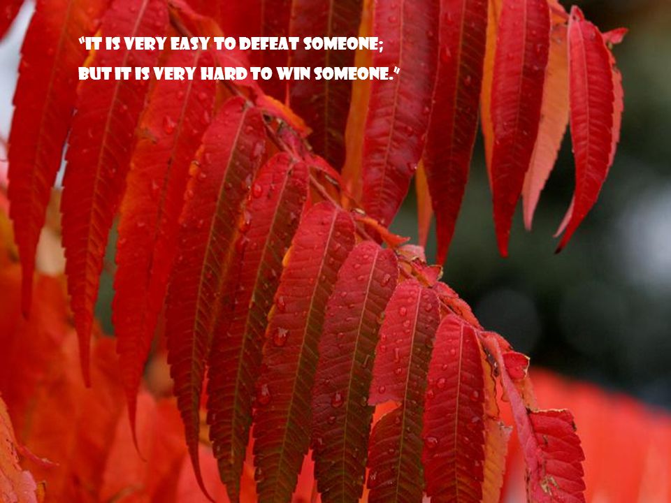 It is very easy to defeat someone;