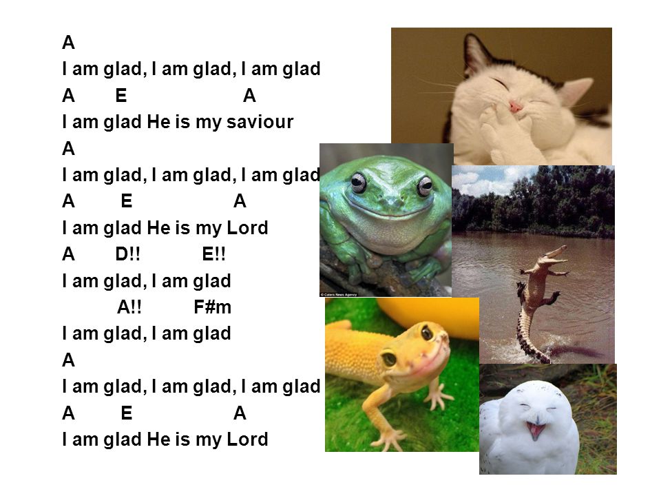 A I am glad, I am glad, I am glad. A E A. I am glad He is my saviour.