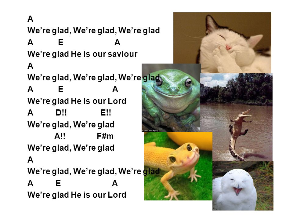 A We’re glad, We’re glad, We’re glad. A E A. We’re glad He is our saviour.