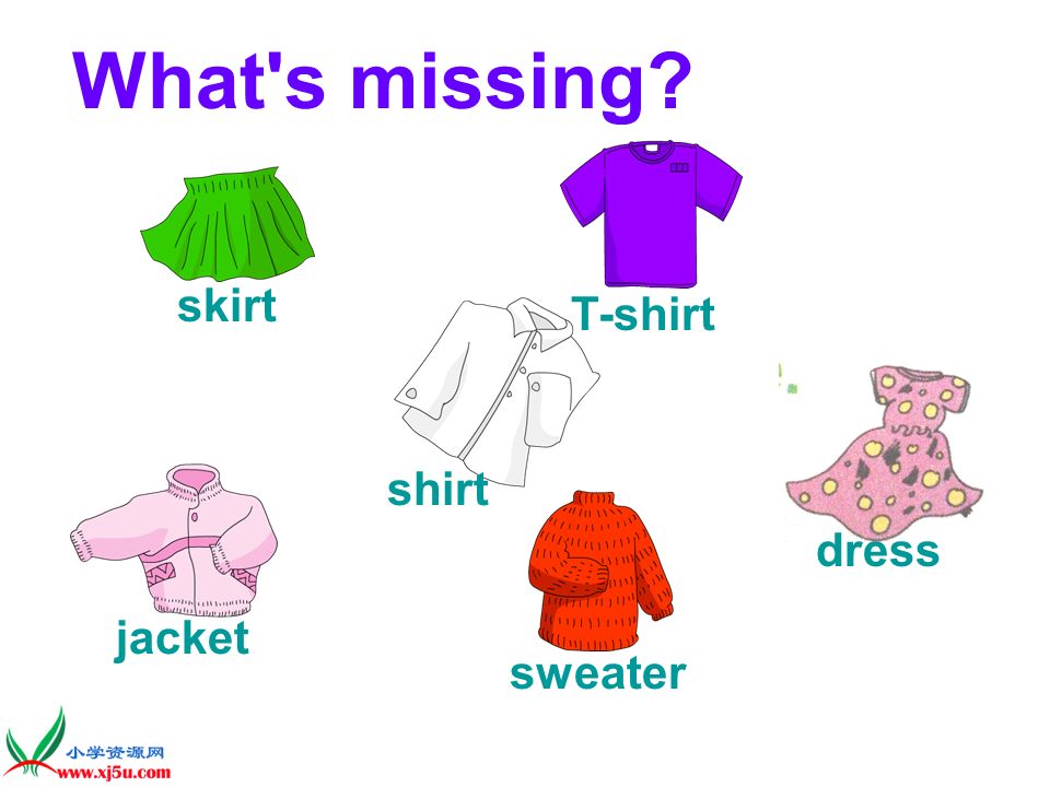 What s missing T-shirt skirt shirt dress jacket sweater