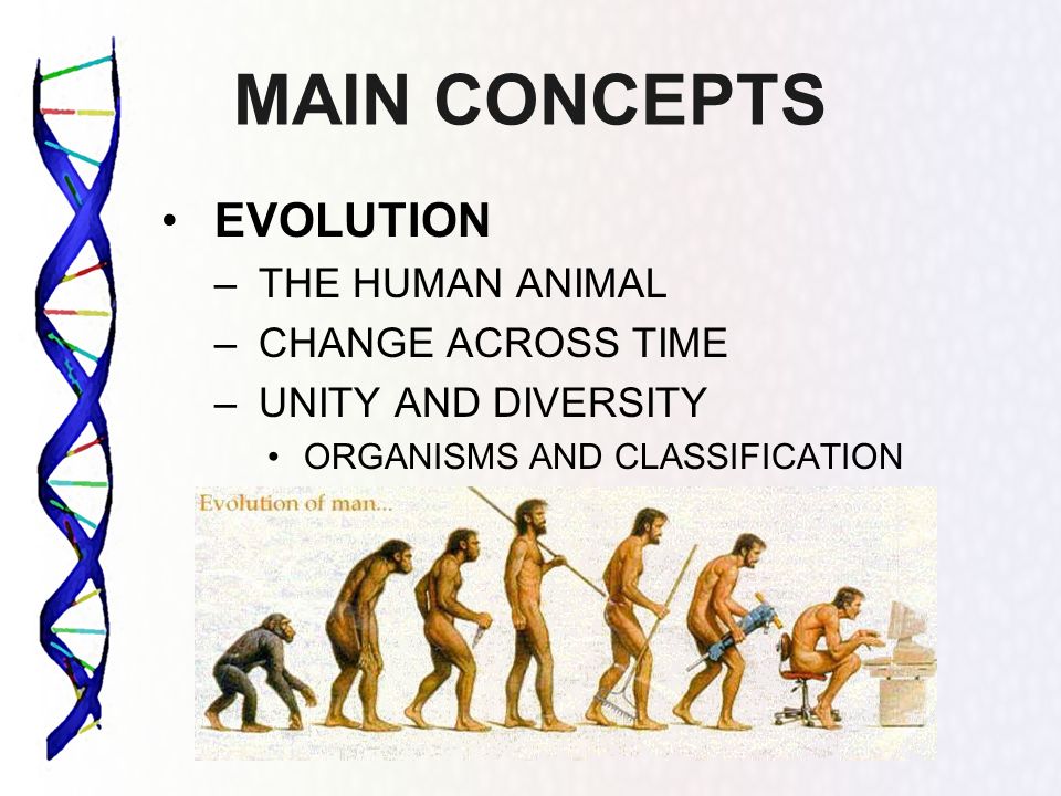 MAIN CONCEPTS EVOLUTION THE HUMAN ANIMAL CHANGE ACROSS TIME