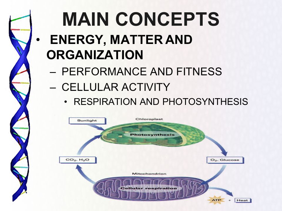 MAIN CONCEPTS ENERGY, MATTER AND ORGANIZATION PERFORMANCE AND FITNESS