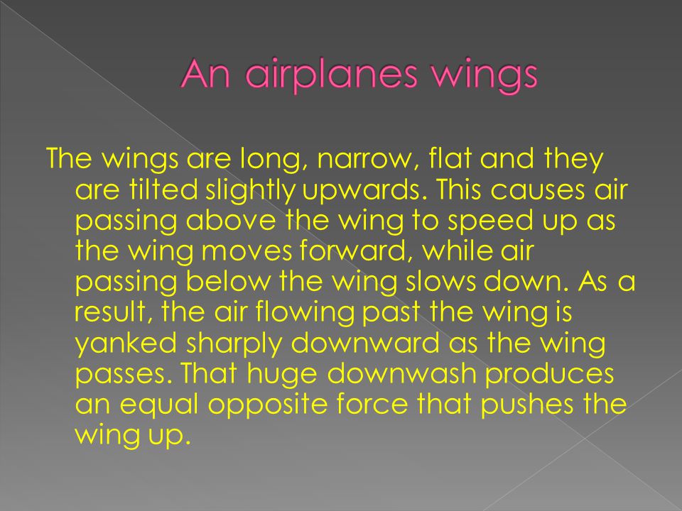 An airplanes wings