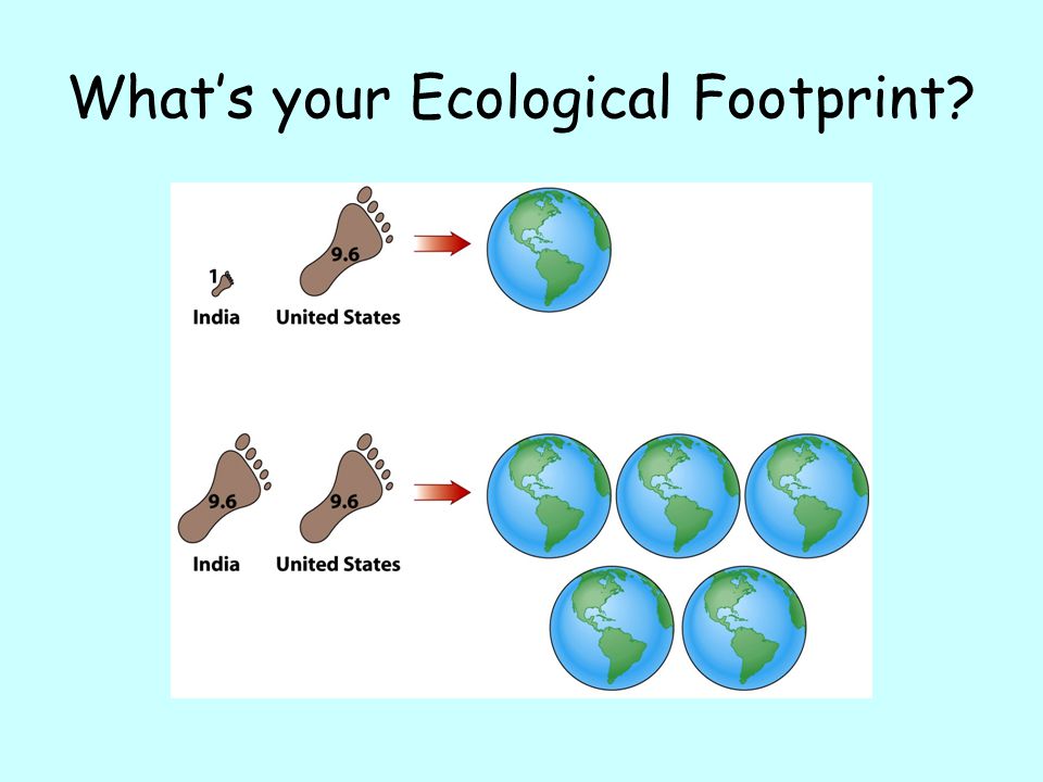 What’s your Ecological Footprint