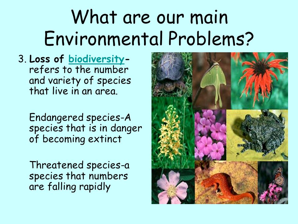 What are our main Environmental Problems