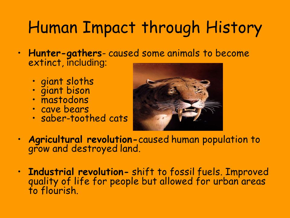 Human Impact through History