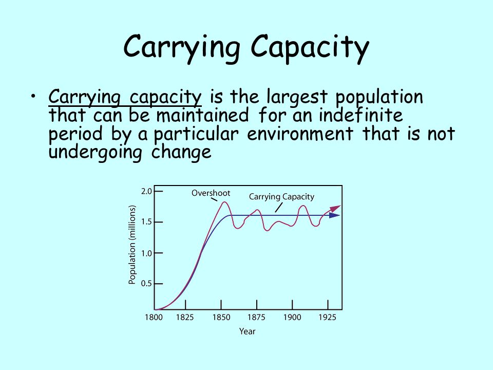 Carrying Capacity