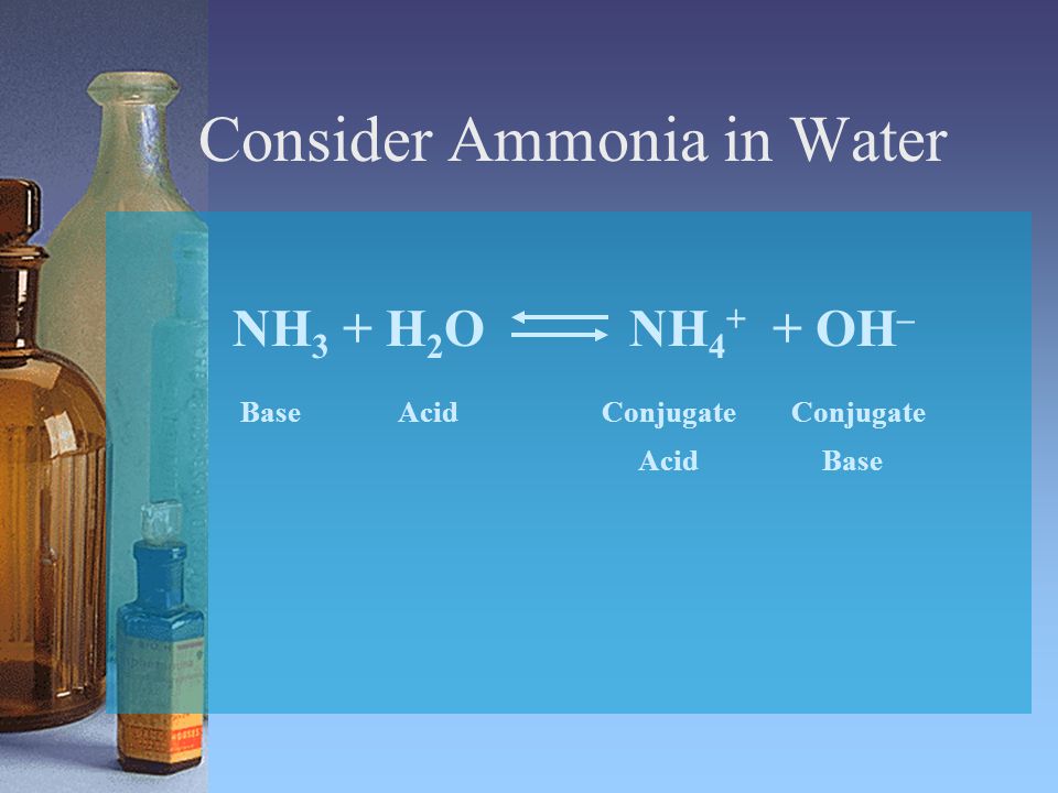Consider Ammonia in Water
