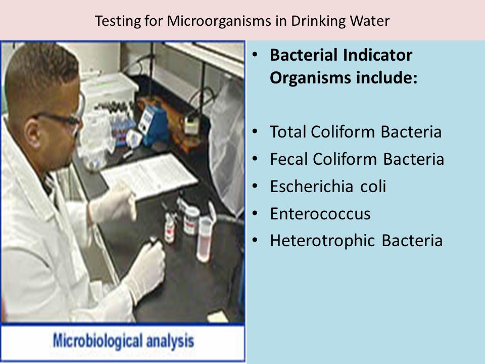 Testing for Microorganisms in Drinking Water