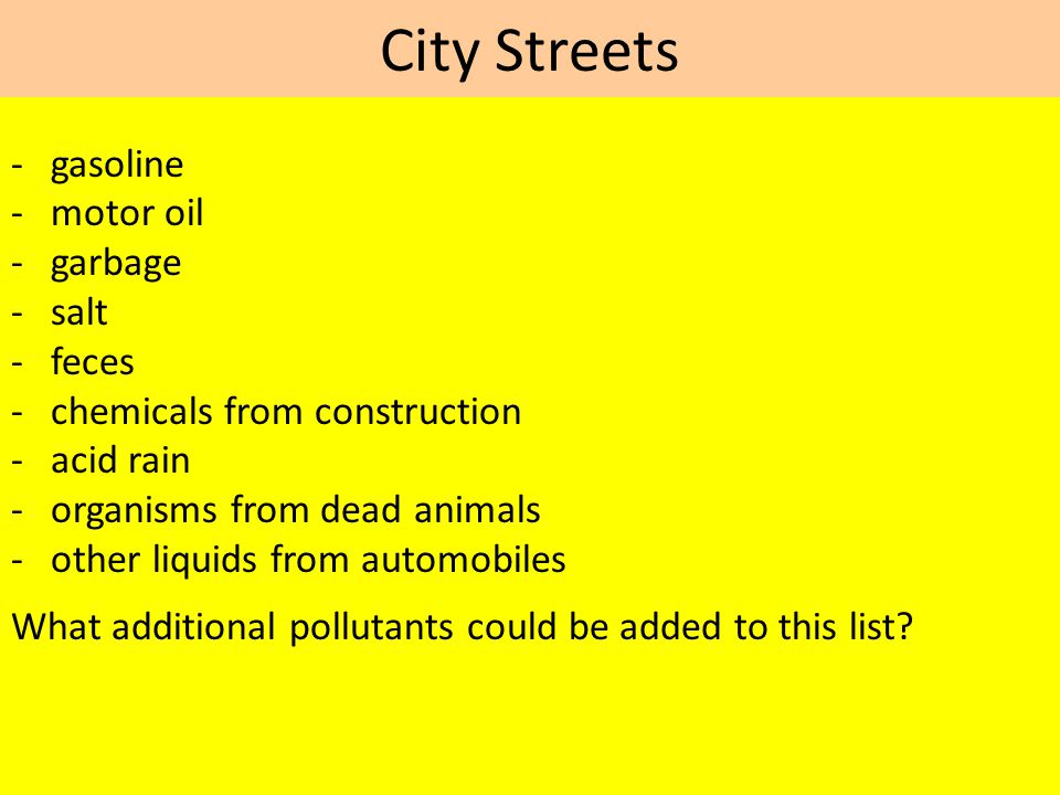 City Streets - gasoline - motor oil - garbage - salt - feces