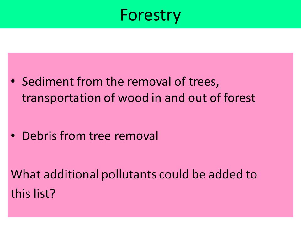 Forestry Sediment from the removal of trees, transportation of wood in and out of forest. Debris from tree removal.