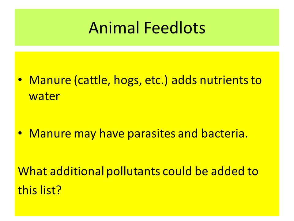 Animal Feedlots Manure (cattle, hogs, etc.) adds nutrients to water