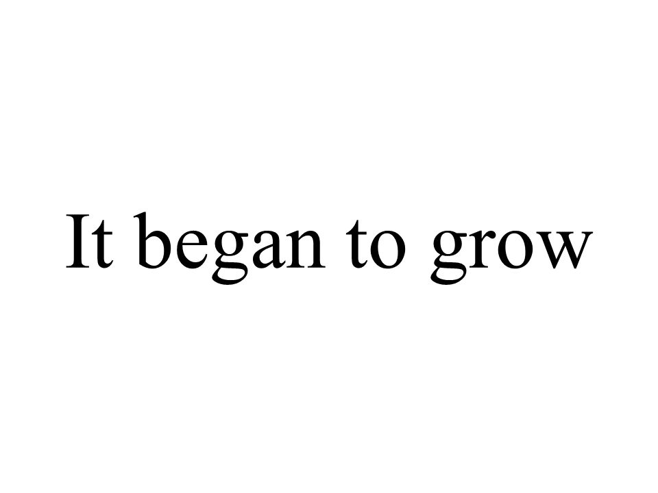 It began to grow