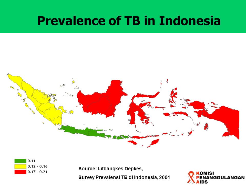 Prevalence of TB in Indonesia