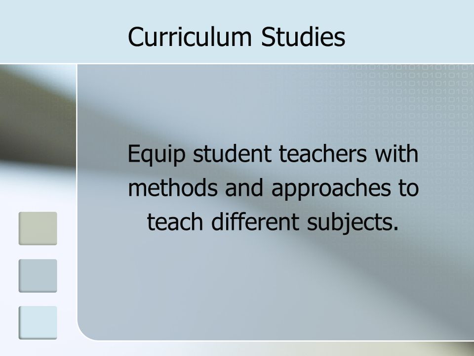 Curriculum Studies Equip student teachers with methods and approaches to teach different subjects.