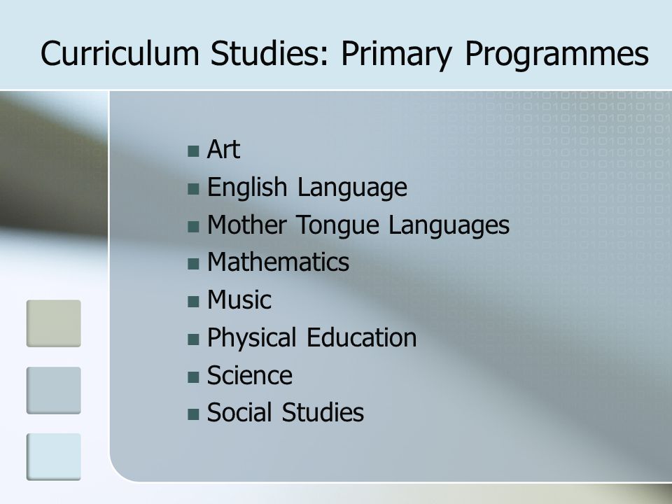 Curriculum Studies: Primary Programmes