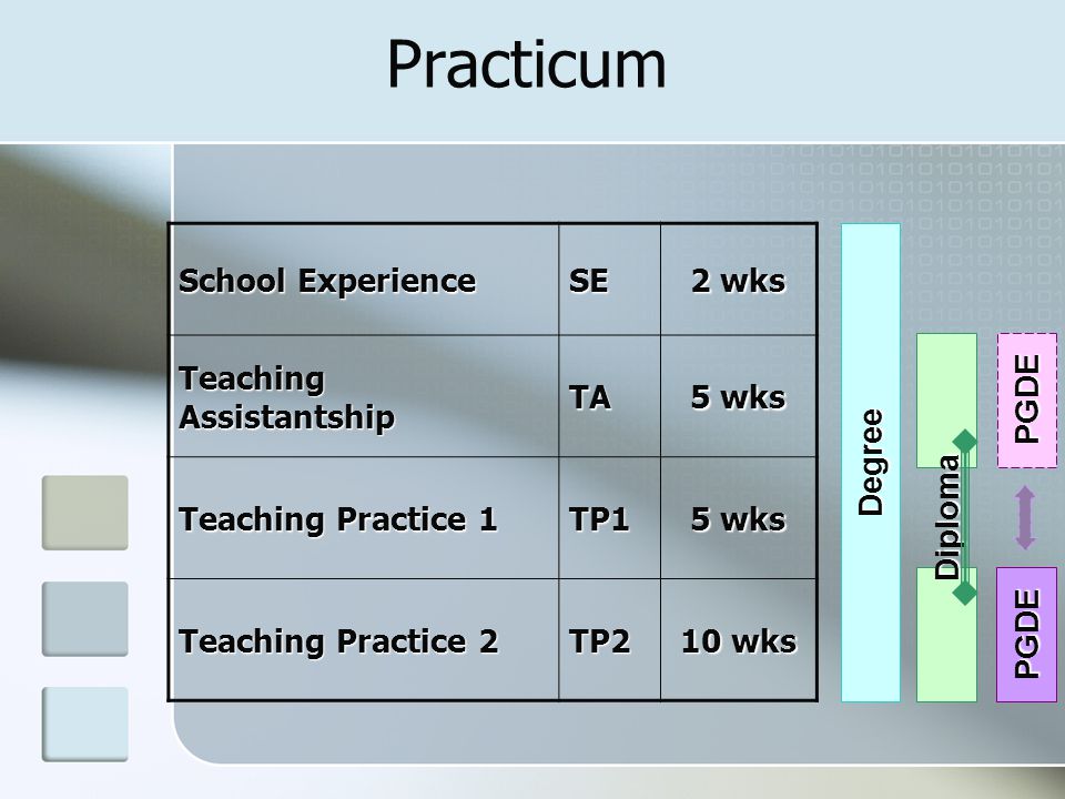 Practicum School Experience SE 2 wks Teaching Assistantship TA 5 wks