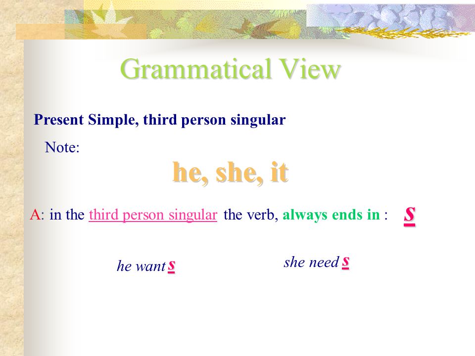 Grammatical View he, she, it s s s