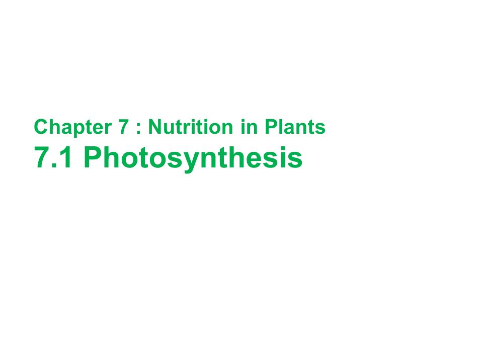 Chapter 7 : Nutrition in Plants 7.1 Photosynthesis