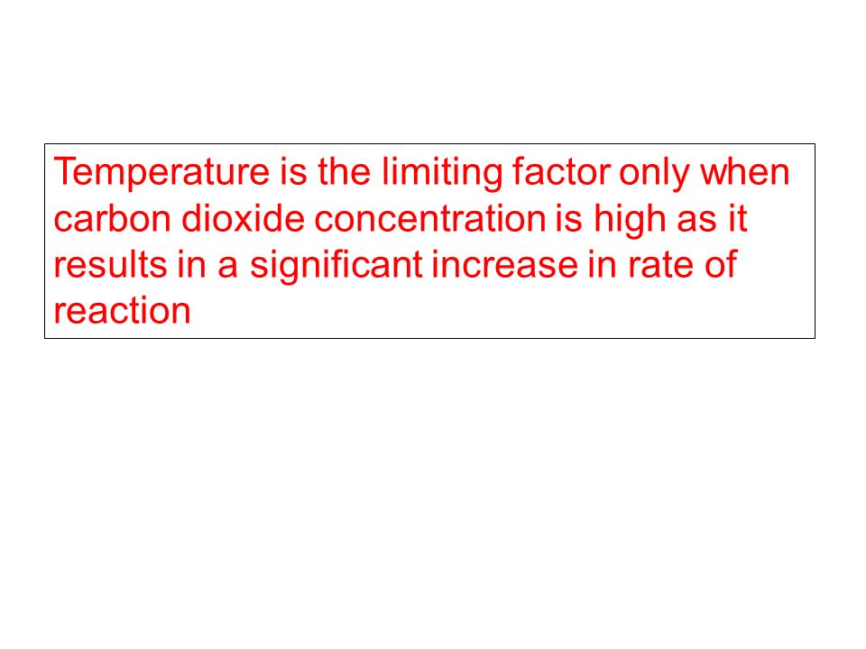 Temperature is the limiting factor only when carbon dioxide concentration is high as it results in a significant increase in rate of reaction
