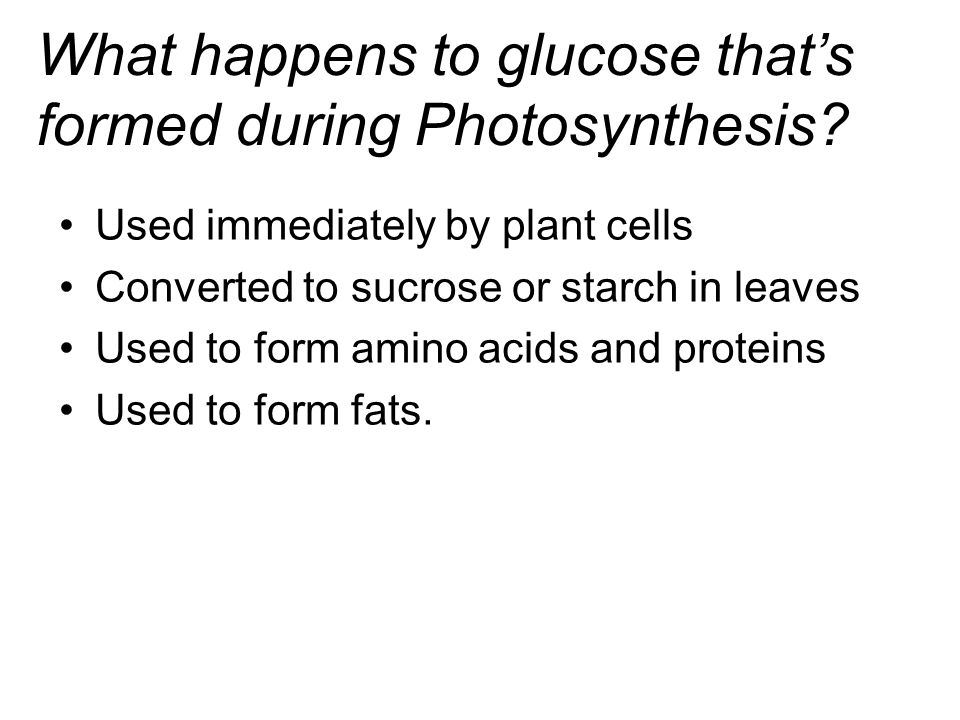 What happens to glucose that’s formed during Photosynthesis