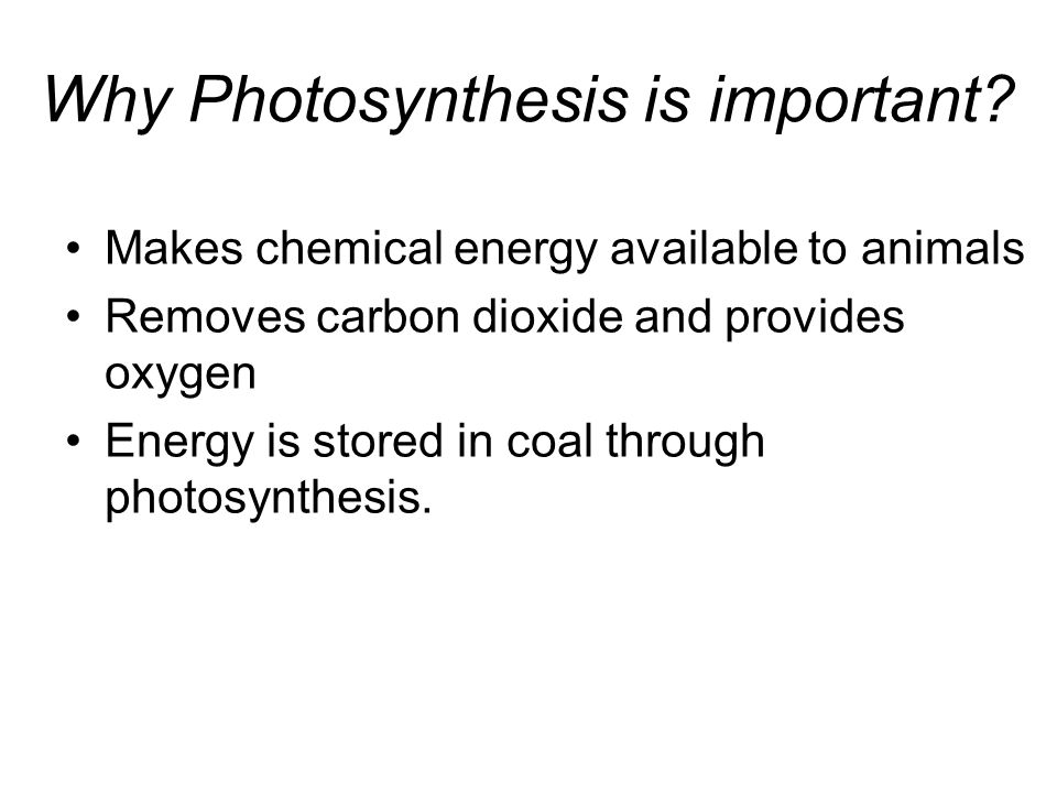 Why Photosynthesis is important