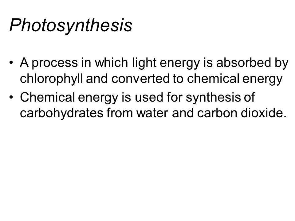 Photosynthesis A process in which light energy is absorbed by chlorophyll and converted to chemical energy.