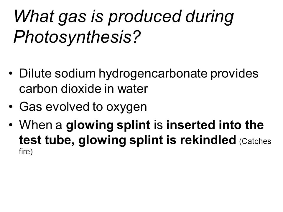 What gas is produced during Photosynthesis