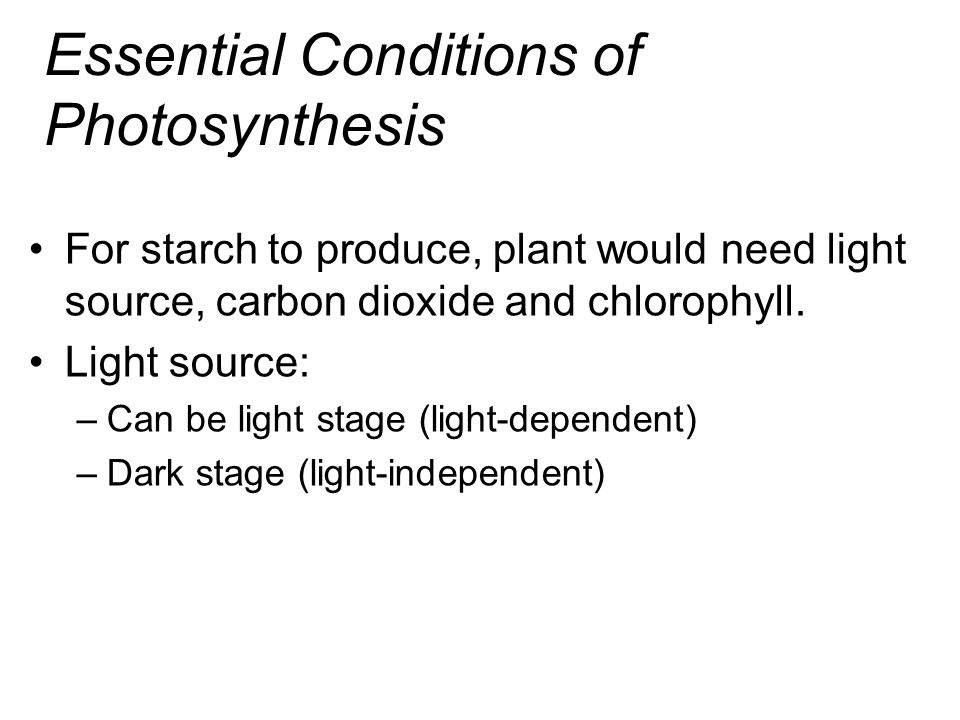 Essential Conditions of Photosynthesis